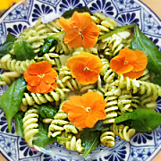 Pasta Salad with Edible Flowers